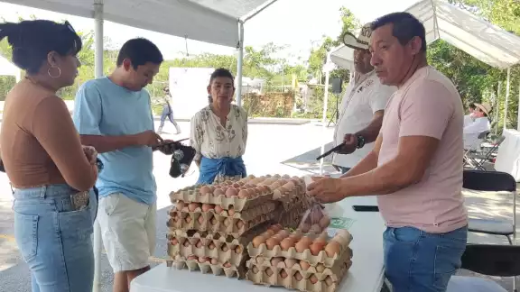 Monopolios como Bachoco manipulan el costo del huevo por la gripe aviar que hay en Estados Unidos: productor playense