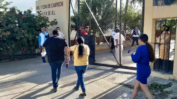 Campeche cuenta con más de 4 mil apicultores registrados Campeche cuenta con más de 4 mil apicultores registrados