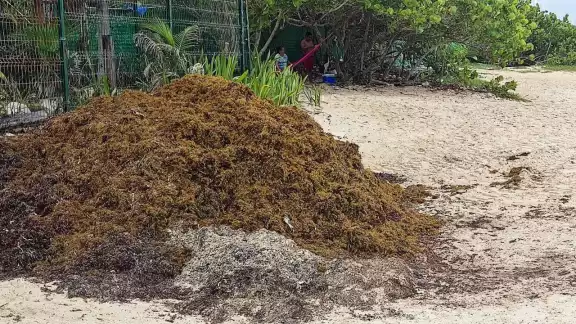 Las playas certificadas con Blue Flag son donde se realizan más tareas, como cernir la arena y levantar los residuos