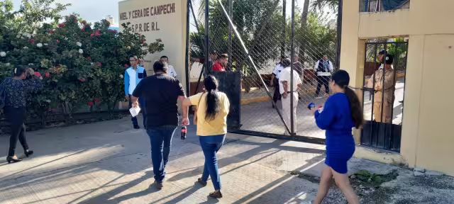 Campeche cuenta con más de 4 mil apicultores registrados