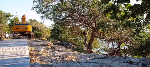 Fue la abogada y activista Ariadne Song Anguas quien interpuso la denuncia