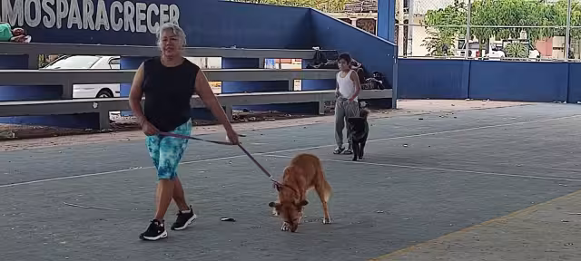 Los “lomitos” llegaron a pie, en brazos y hasta carriola.