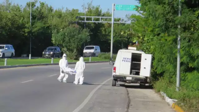 Descartan que sea un acto de alto impacto a pesar de que el cuerpo mostraba signos de violencia