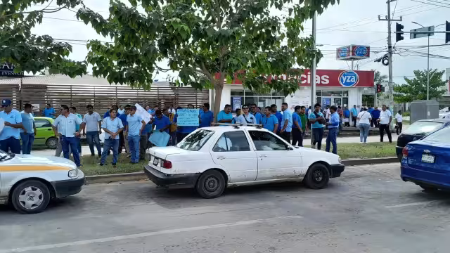 La Universidad Autónoma de Quintana Roo los que realicen el estudio para determinar el número de concesiones


