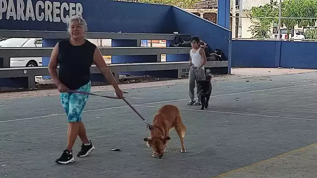 Los “lomitos” llegaron a pie, en brazos y hasta carriola.