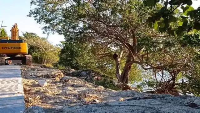 Fue la abogada y activista Ariadne Song Anguas quien interpuso la denuncia