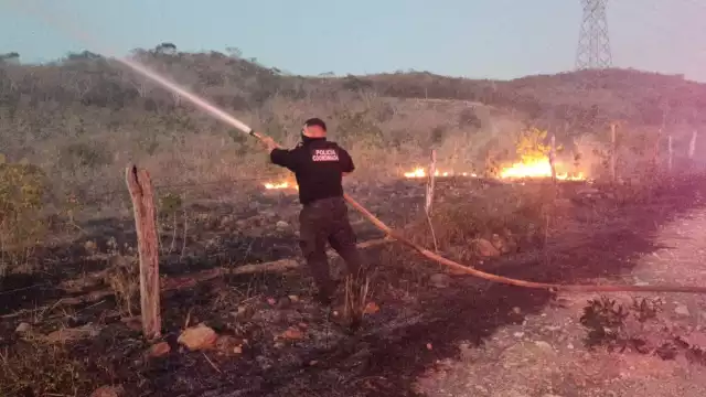 Autoridades señalaron que muchos de estos incendios son provocados por la gente