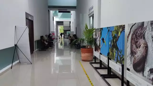 Debido a la falta de semáforos se registraron varios embotellamientos en las avenidas 115, CTM y Luis Donaldo Colosio