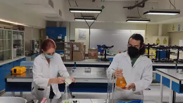 Beatriz Tavera y Pablo Ortega acusaron a su sinodal de robar los resultados de su tesis