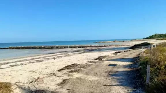 Habitantes y prestadores de servicios piden se refuerce la vigilancia nocturna en Punta Cocos