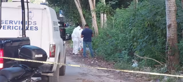 Según la Plataforma Nacional de Transparencia en el municipio de Solidaridad se han realizado 7 mil 194 movilizaciones