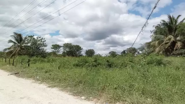 María Magdalena Franco Gallegos y Pedro Rodríguez García aseguran contar con los documentos que avalan su predio