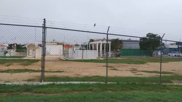 La niebla poco a poco se fue disipando del aeropuerto de Mérida
