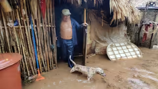 Al igual que su cultivo, la vivienda en donde cría cerditos, gallinas y pavos, también acabó bajo el agua