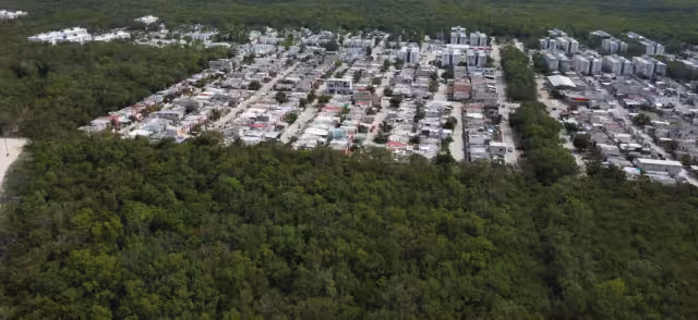 Se desconocen las condiciones en las que la exfuncionaria dio los permisos