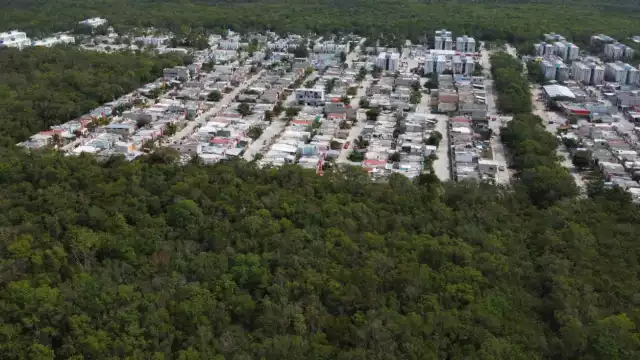 Se desconocen las condiciones en las que la exfuncionaria dio los permisos