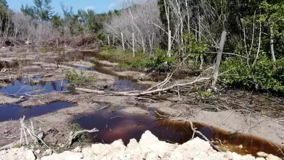 Según representantes de la obra en Isla Mujeres, poseen licencia de construcción municipal y la MIA autorizada por de Semarnat