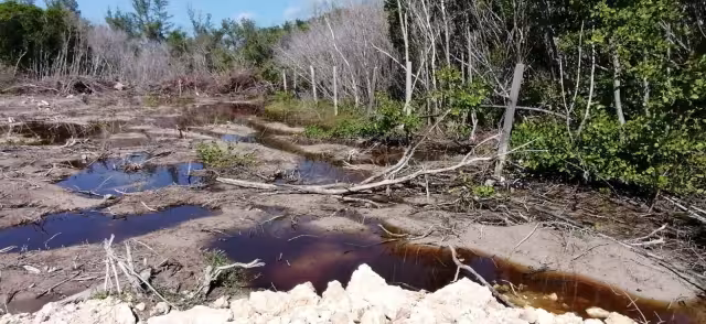 Según representantes de la obra en Isla Mujeres, poseen licencia de construcción municipal y la MIA autorizada por de Semarnat