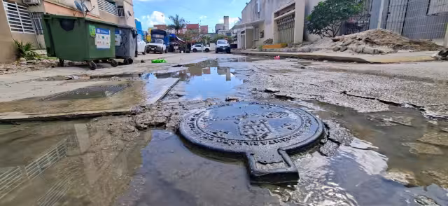 Entre charcos permanentes y drenajes saturados, el desperdicio de agua se volvió parte del paisaje