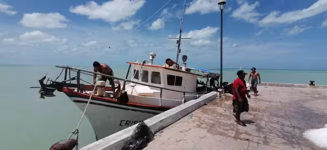 Pescadores mencionaron que si lo permiten los vientos saldrían hoy domingo, o a más tardar el lunes, pues señalan que estar anclados en tierra les genera pérdidas