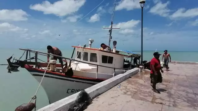 Pescadores mencionaron que si lo permiten los vientos saldrían hoy domingo, o a más tardar el lunes, pues señalan que estar anclados en tierra les genera pérdidas