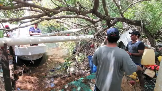 “Fue regalo de la tormenta”, coincidieron varios pescadores entrevistados