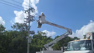 CFE intensifica mantenimiento de líneas eléctricas en Felipe Carrillo Puerto y comunidades