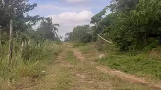 Productores de Lázaro Cárdenas exigen mantenimiento en los caminos saca cosechas