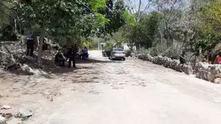 Riña por cerdos sueltos en José María Morelos termina en golpes entre vecinos