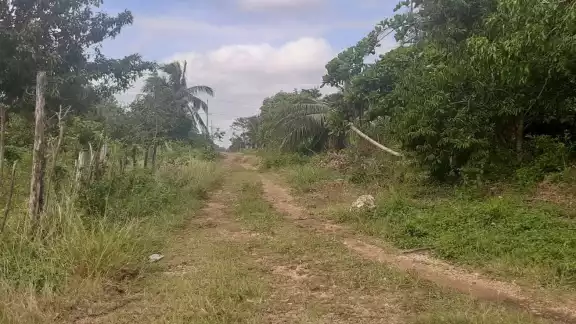 Los problemas se acentúan con los baches que se forman en los caminos Los problemas se acentúan con los baches que se forman en los caminos