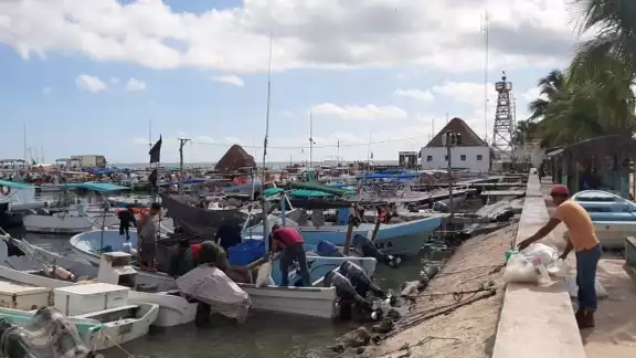 Los pescadores de langosta en Holbox acudirán a los campamentos ubicados en Cabo Catoche para iniciar con sus labores Los pescadores de langosta en Holbox acudirán a los campamentos ubicados en Cabo Catoche para iniciar con sus labores