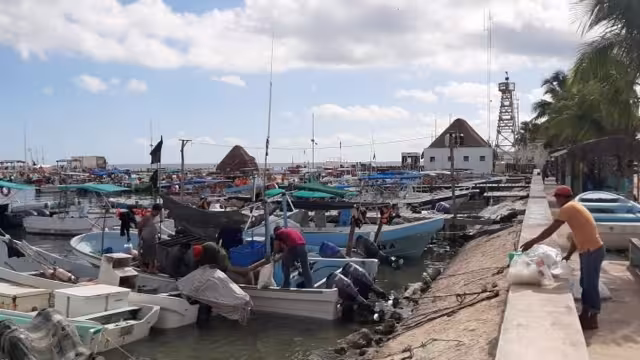 Los pescadores de langosta en Holbox acudirán a los campamentos ubicados en Cabo Catoche para iniciar con sus labores