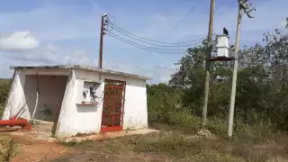 En la zona de mecanizados del municipio se trabaja actualmente co cítricos, cacahuate, jícama, papaya, maíz elotero