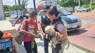 Wendy Krauss se encontraba estable y con buen estado de salud