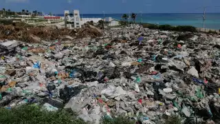 Los vecinos no soportan el aroma y los insectos que genera este cerro de basura