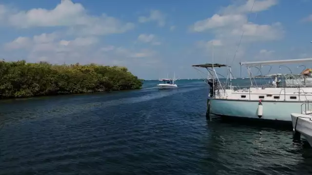 Laguna Makax sufre alto nivel de contaminación, construyen muelles y cortan manglares