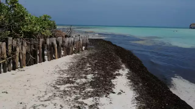 Algunos empleados tienen instrucción de vigilar a que las dunas y plantas de ornado no sean vandalizadas