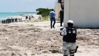 Hasta el momento se desconoce quiénes vendieron esos predios