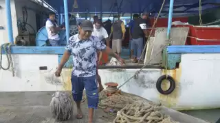 Conapesca reporta la captura de  5 mil 600 toneladas de pulpo en Yucatán 