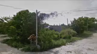 CFE se niega a dar servicio a más de 40 asentamientos irregulares de Isla Mujeres