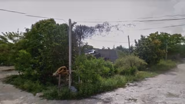 Algunos habitantes toman la luz de manera clandestina de la red de la CFE cercana