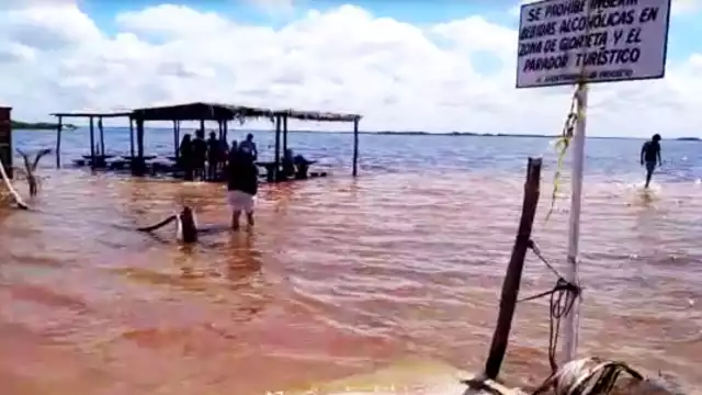 FOTO: Alfredo Canto May