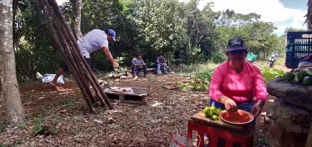 Debido al gasto de transporte que realizan para regar el terreno, el monto que cobran los beneficiarios apenas alcanza para seguir manteniendo sus cultivos