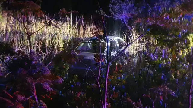 Automovilista pierde el control y saca a su carro de la carretera en Cozumel