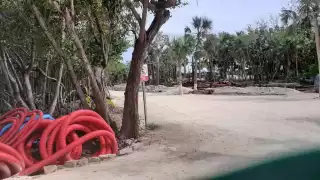 Los trabajos del Parque Lakam Ha fueron denunciados por ambientalistas en Cozumel por el daño a la selva y humedales