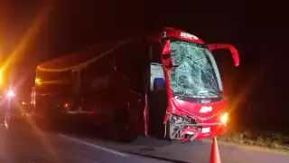 Según se informó, del impacto lo sacó del camino hasta dejarlo varios metros dentro de la maleza