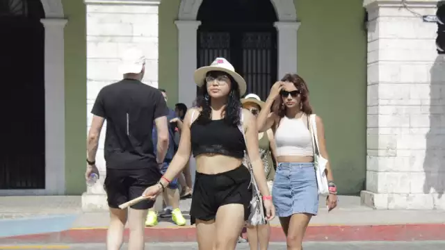 Los yucafresas son muy populares en el estado