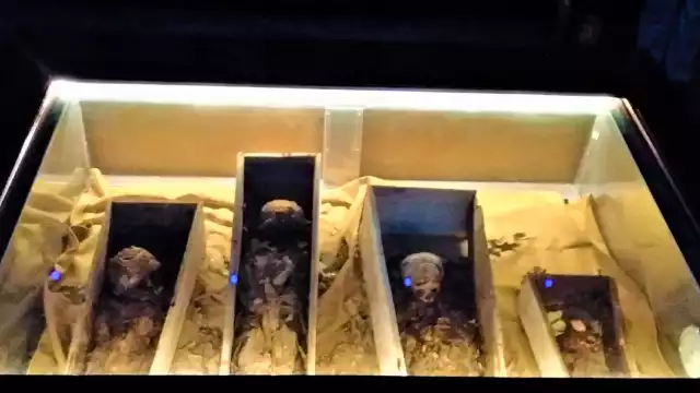 El recinto resguarda los restos de cuatro niñas y un entierro maya hallados durante la remodelación del suelo del edificio