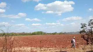 La persona herida en el primer incidente tuvo que correr, ya que fue atacado por una colmena que se encuentra en la etapa de migración