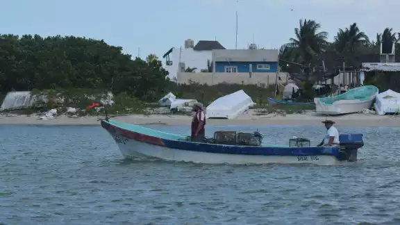 Aunque por ahora no hay riesgo inminente, especialistas y pescadores están atentos a la marea roja Aunque por ahora no hay riesgo inminente, especialistas y pescadores están atentos a la marea roja